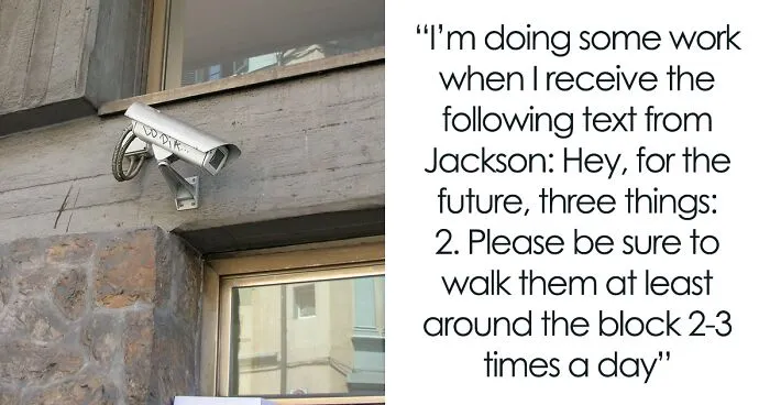 "[Am I The Jerk] For Telling My Neighbor That We Won't Ever Watch His Dogs Again?"