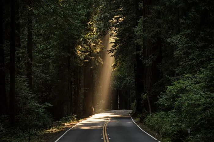 Natural Sunlight