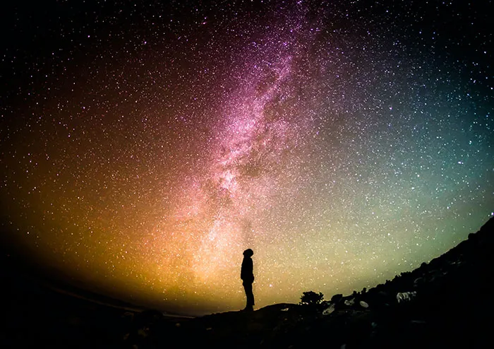 “Confirmation Bias Is A Scary Thing”: People Online Share 35 Scientific Facts That Sound Unbelievable But Are Actually True