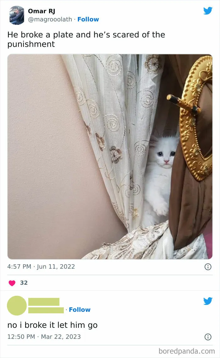 50 Of The Most Hilarious “Unexplainable Cat Images” To Bring Some Chaos To Your Day
