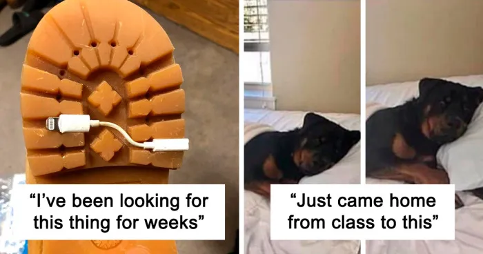 45 Times People Faked Pics For Internet Points And Got Called Out On This Online Group