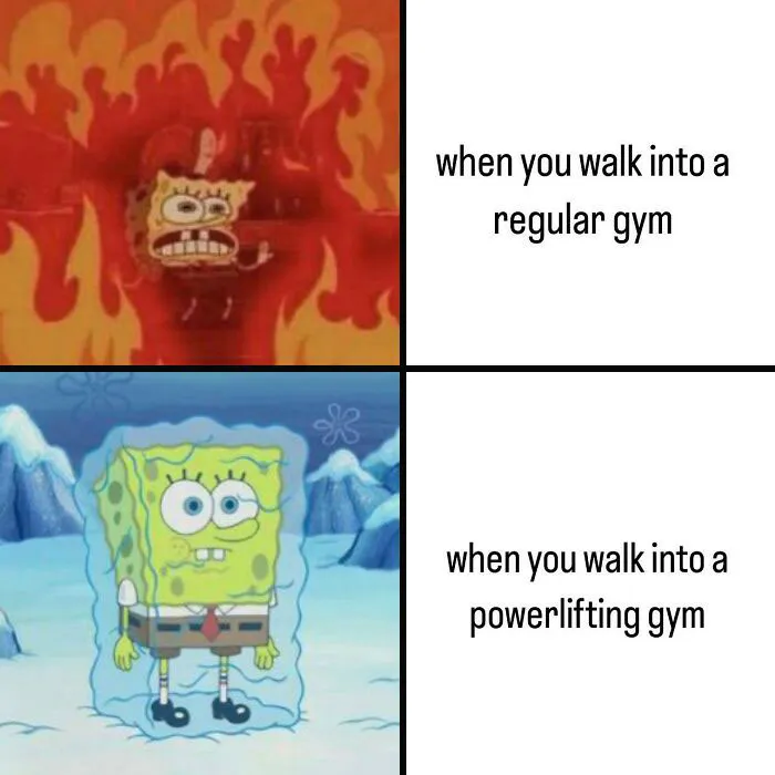 SpongeBob meme comparing a regular gym to a powerlifting gym experience, featuring gym humor relatable to gym rats.