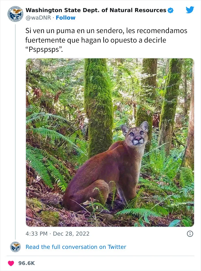 20 Divertidos tuits mostrando el lado gracioso del Departamento de Recursos Naturales