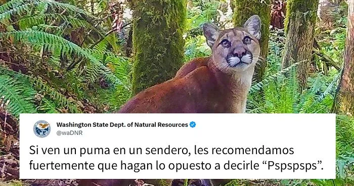 20 Divertidos tuits mostrando el lado gracioso del Departamento de Recursos Naturales