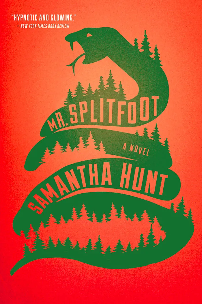 Mr. Splitfoot book cover