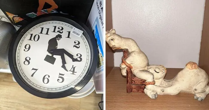 35 Objetos realmente extraños encontrados en tiendas de segunda mano que había que compartir
