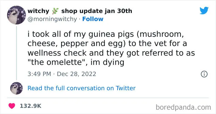 The Omelette