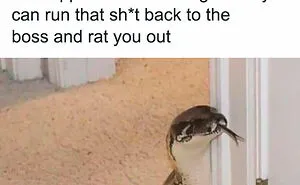 50 Hilarious Workplace Memes That May Help You Get Through Your Workday Better