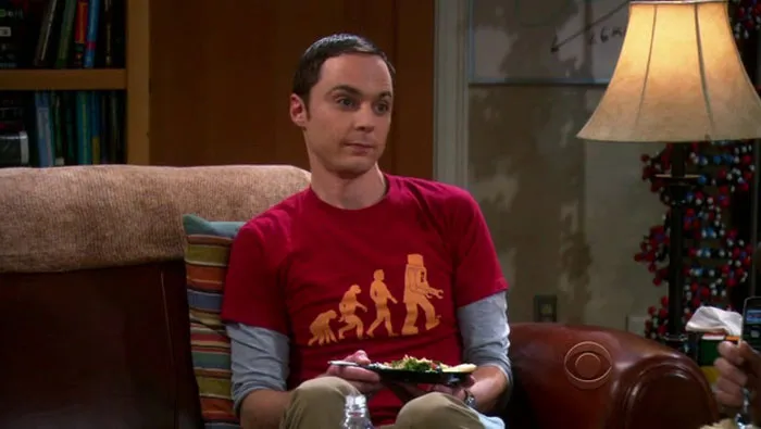 Sheldon Cooper From "The Big Bang Theory"