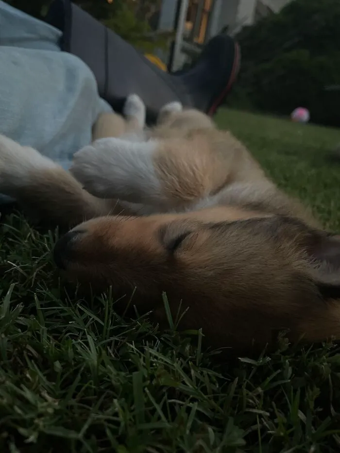 Hey Pandas! Here Are Some Photos Of My Summer Last Year On A Farm (24 Pics)