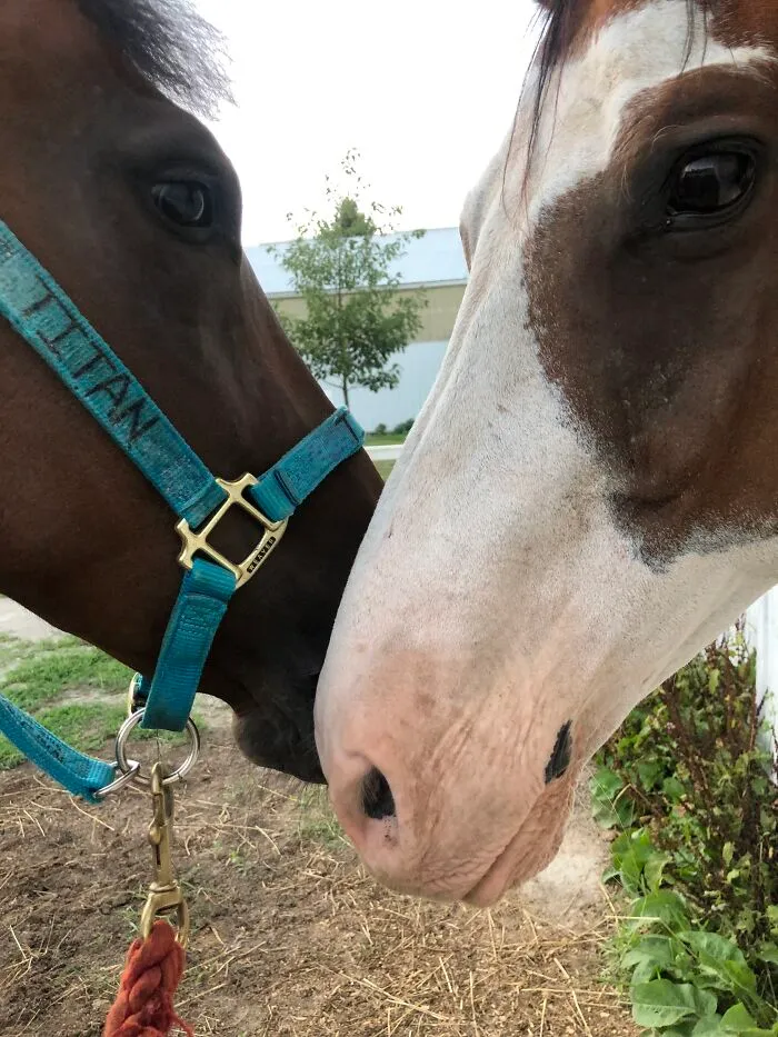 New Friends