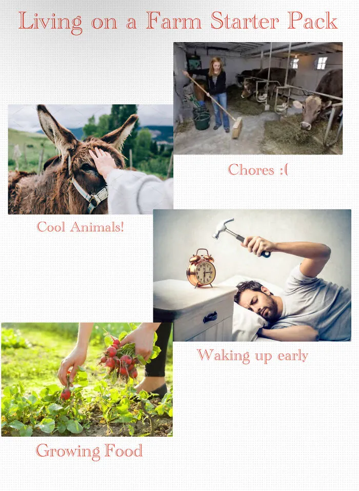 Living On A Farm Starter Pack