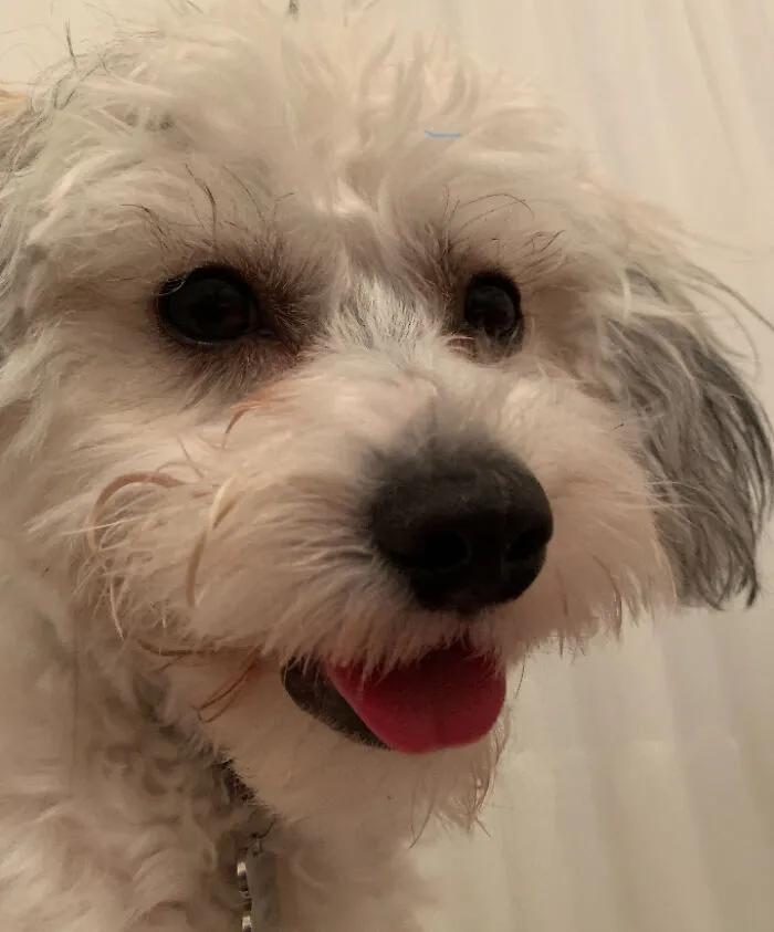 Here Are Some Photos Of My Pets To Hopefully Brighten Your Day (20 Pics)