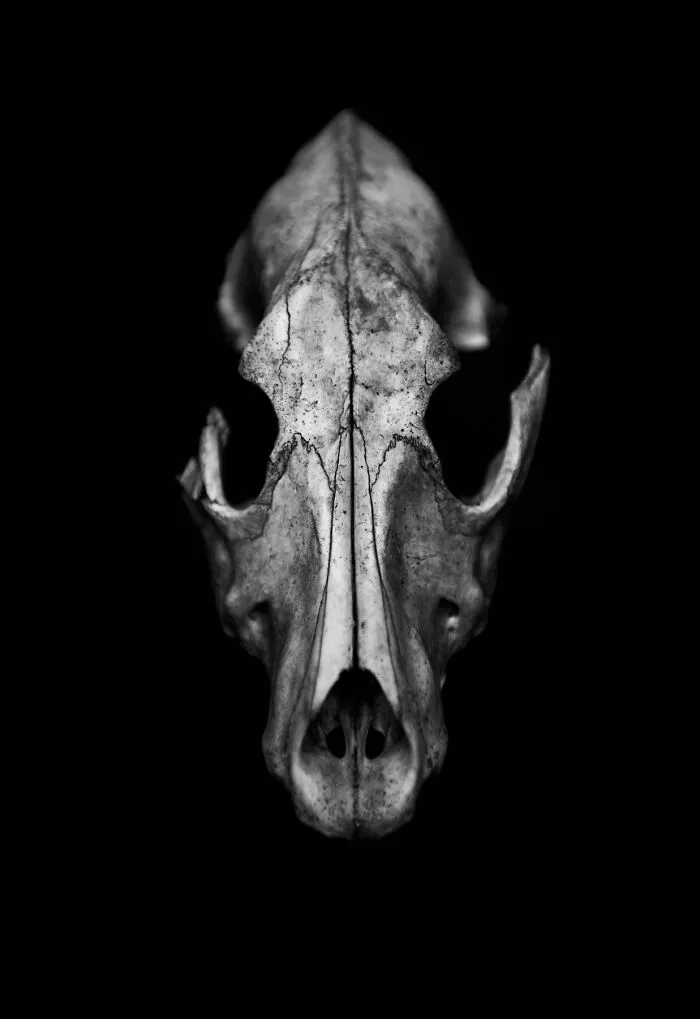 From "The Shadow Line" Series By Michal Korta ©