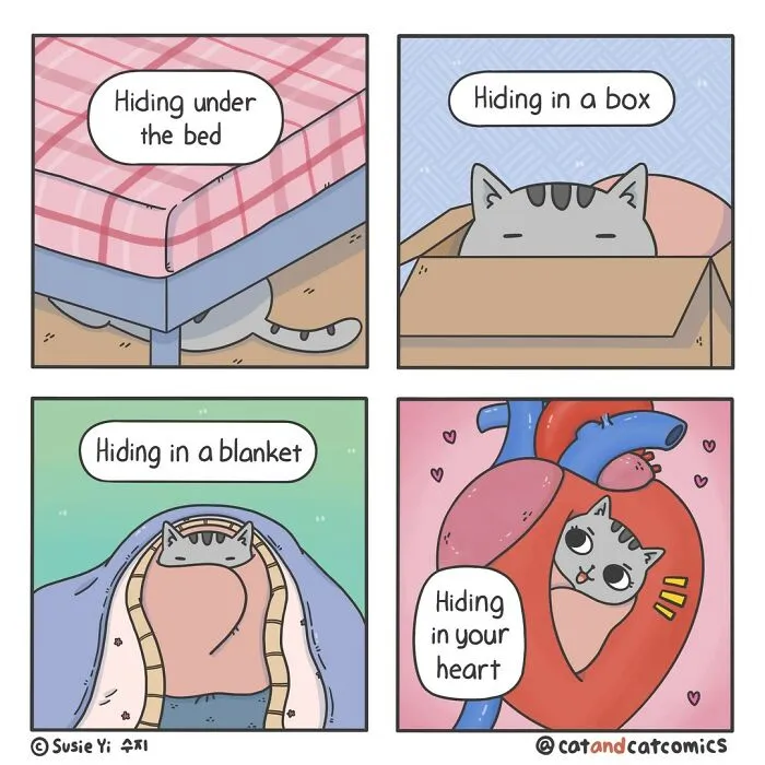 This Artist Illustrates Funny Realities Of Living With A Cat (30 New Pics)