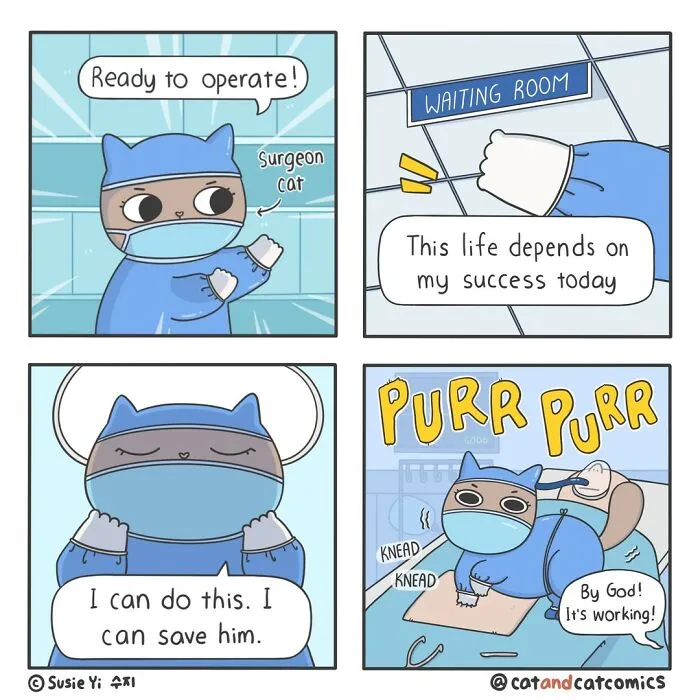 This Artist Illustrates Funny Realities Of Living With A Cat (30 New Pics)