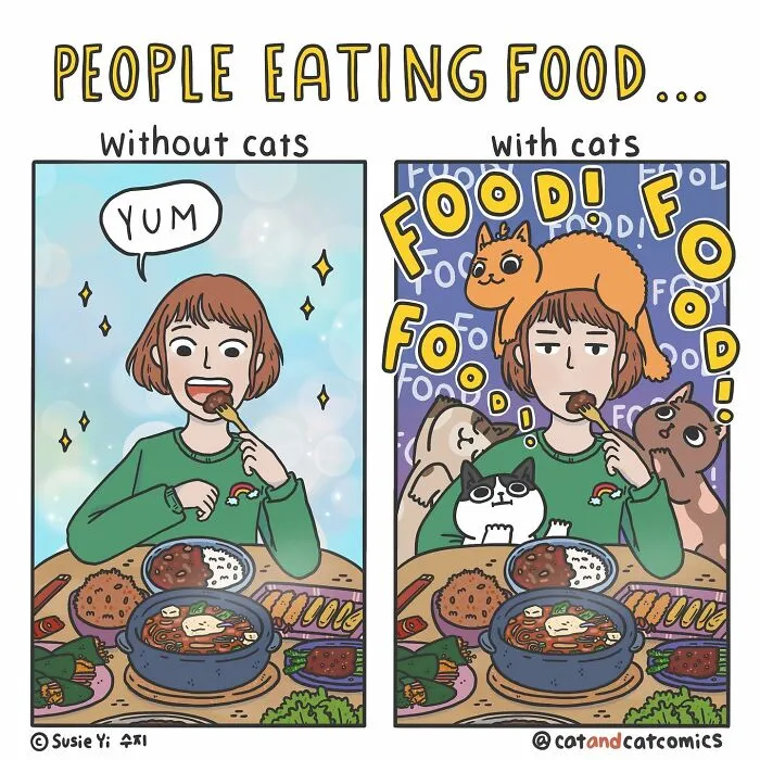 This Artist Illustrates Funny Realities Of Living With A Cat (30 New Pics)