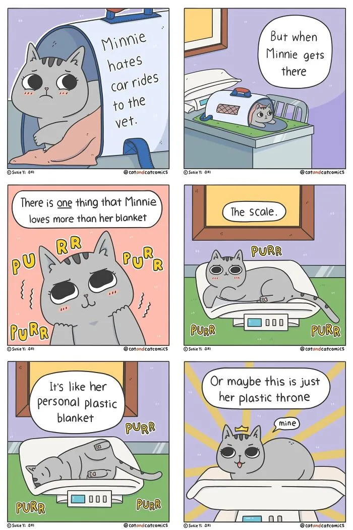This Artist Illustrates Funny Realities Of Living With A Cat (30 New Pics)