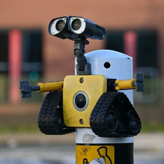 30 Divertidas e ingeniosas obras de arte en la calle creadas por este artista holandés