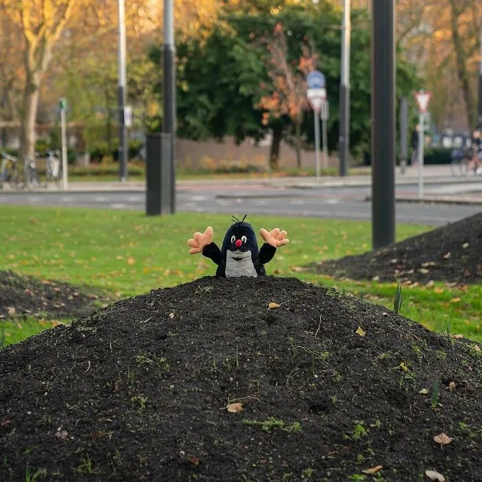 30 Divertidas e ingeniosas obras de arte en la calle creadas por este artista holandés