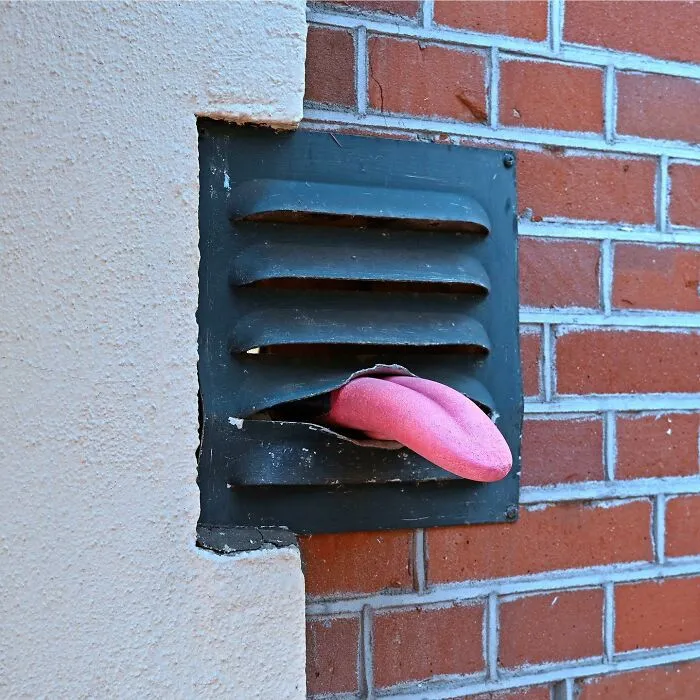30 Divertidas e ingeniosas obras de arte en la calle creadas por este artista holandés