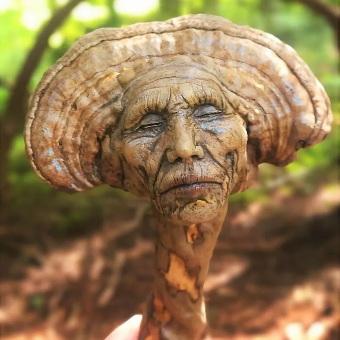 This Canadian Artist Makes Incredible Sculptures Out Of Driftwood, Seashells, Dried Mushrooms And More (38 New Pics)