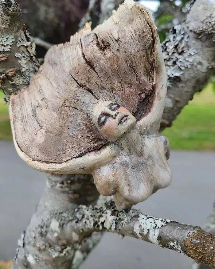 This Canadian Artist Makes Incredible Sculptures Out Of Driftwood, Seashells, Dried Mushrooms And More (38 New Pics)