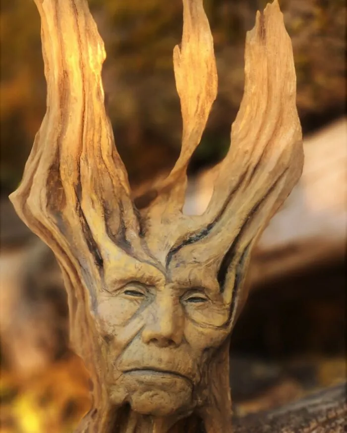 This Canadian Artist Makes Incredible Sculptures Out Of Driftwood, Seashells, Dried Mushrooms And More (38 New Pics)