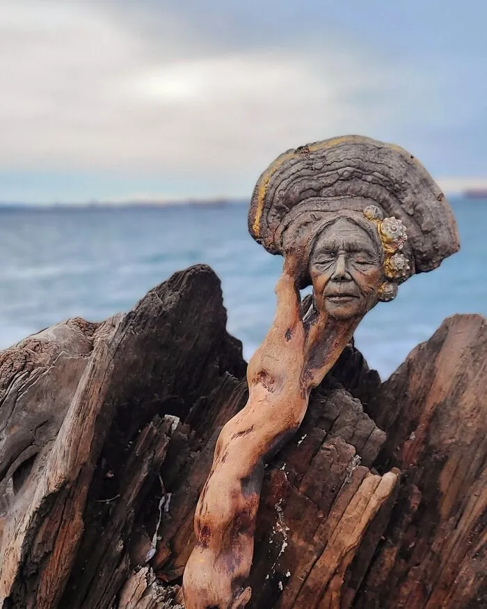 This Canadian Artist Makes Incredible Sculptures Out Of Driftwood, Seashells, Dried Mushrooms And More (38 New Pics)