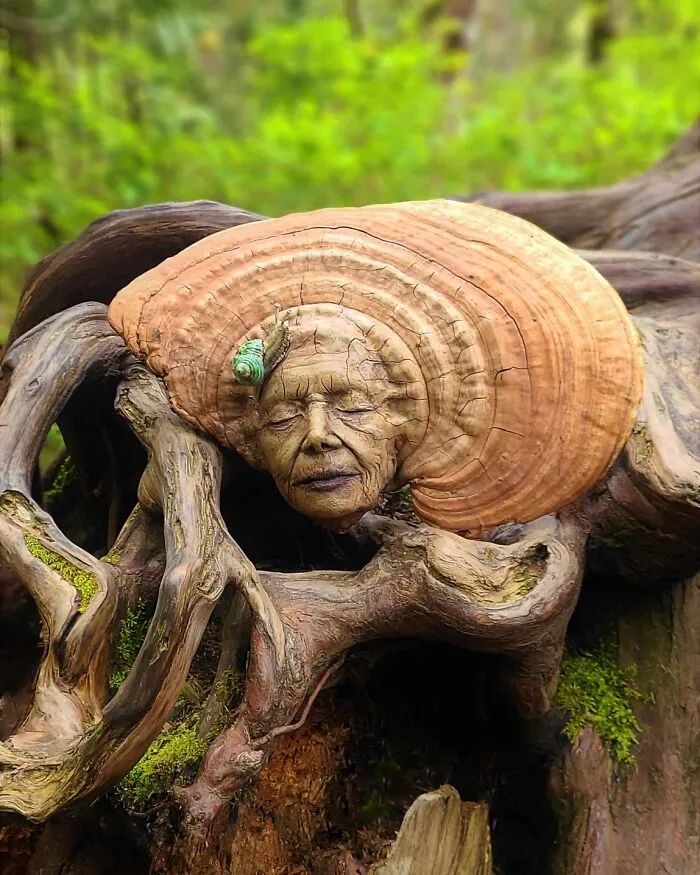 This Canadian Artist Makes Incredible Sculptures Out Of Driftwood, Seashells, Dried Mushrooms And More (38 New Pics)