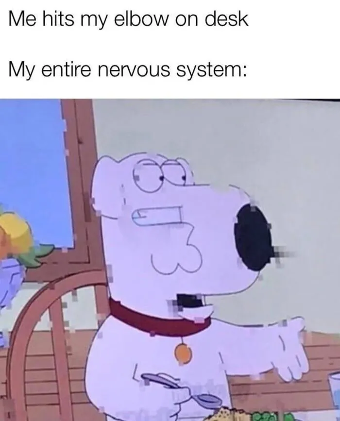 50 Spot-On Science Memes That Might Make You Feel Smarter