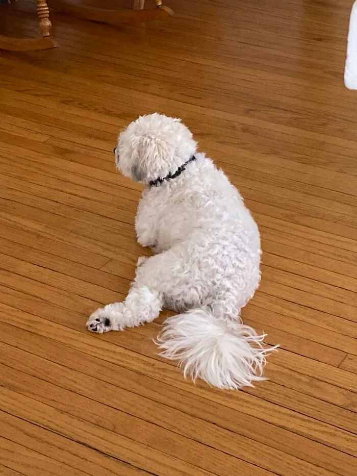 Here Are Some Photos Of My Pets To Hopefully Brighten Your Day (20 Pics)