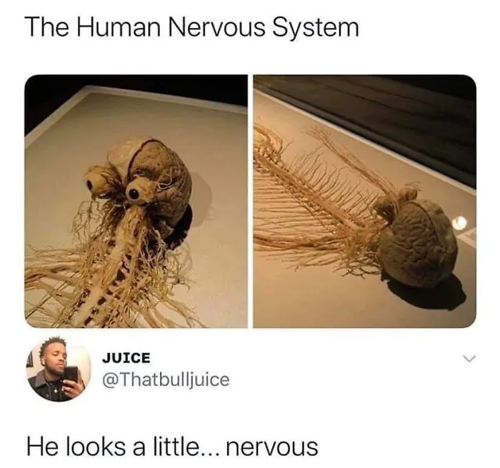 50 Spot-On Science Memes That Might Make You Feel Smarter