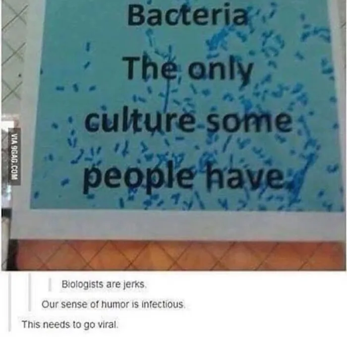 50 Spot-On Science Memes That Might Make You Feel Smarter