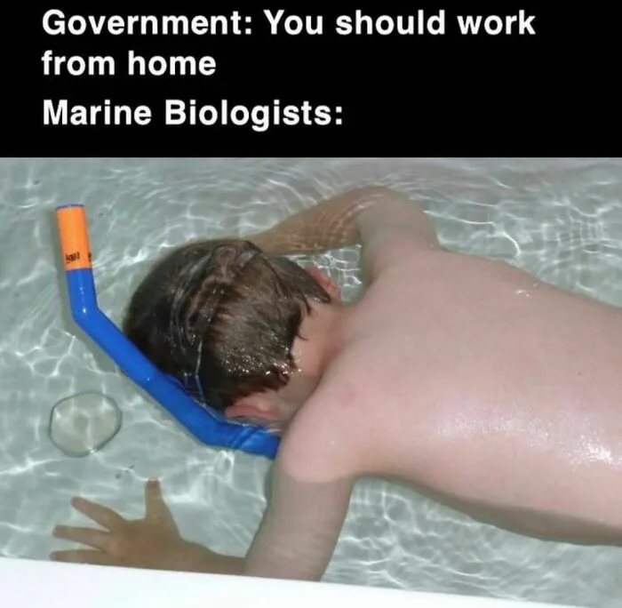 50 Spot-On Science Memes That Might Make You Feel Smarter