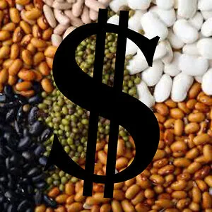 Le Dollar Bean (they/them)