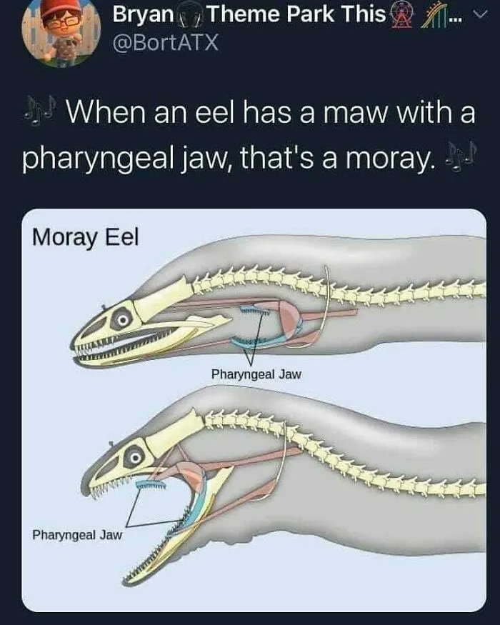 50 Spot-On Science Memes That Might Make You Feel Smarter