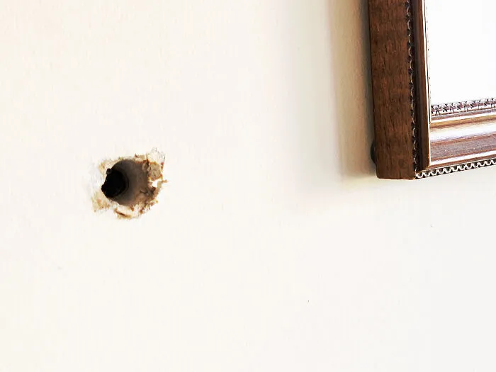 Bullet Hole