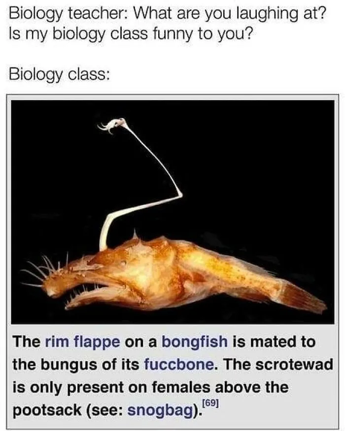 50 Spot-On Science Memes That Might Make You Feel Smarter