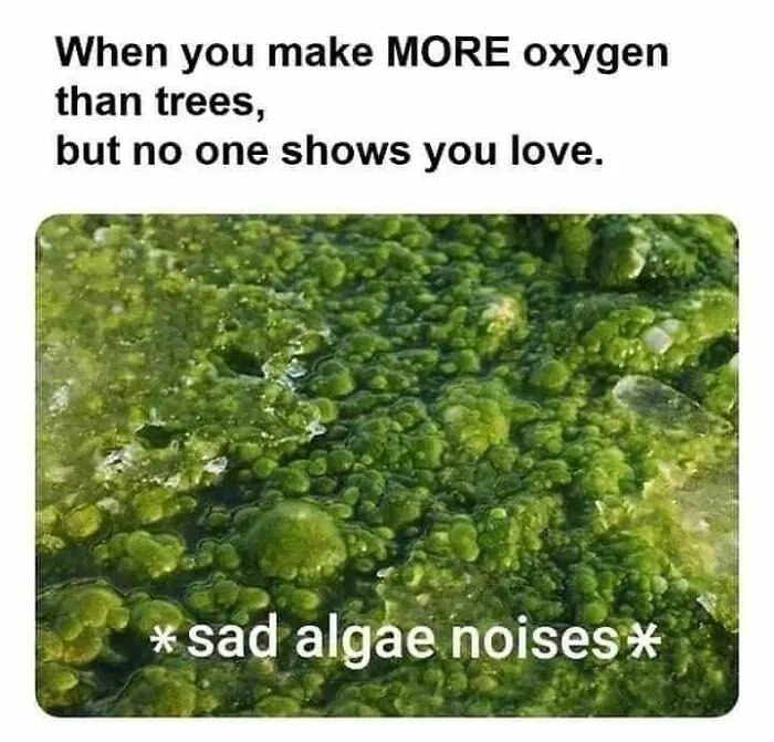 50 Spot-On Science Memes That Might Make You Feel Smarter