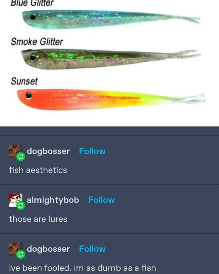 A humorous Tumblr screenshot showing a user mistaking fishing lures for fish aesthetics, a silly internet moment.