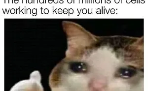 50 Spot-On Science Memes That Might Make You Feel Smarter