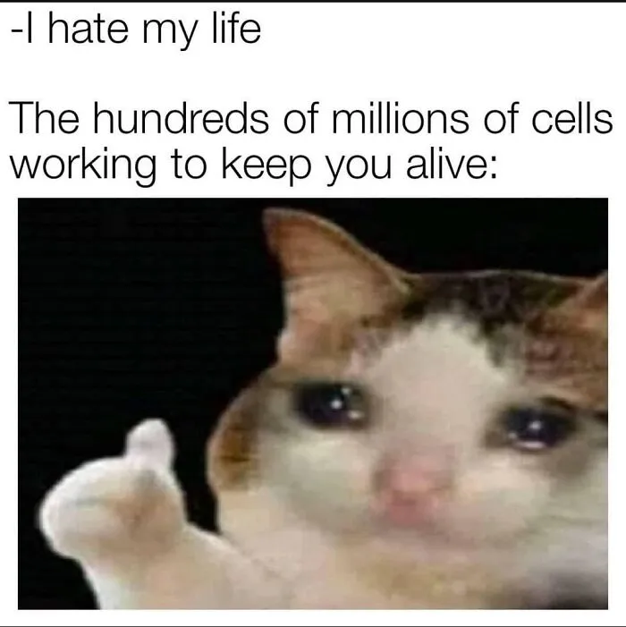 Funny-Smart-Memes-Memesonscience