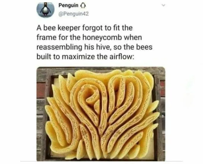 50 Spot-On Science Memes That Might Make You Feel Smarter