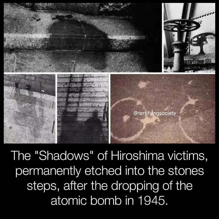40 Creepy Facts Not For The Fainthearted, As Shared On The "Terrifying Society" Instagram Page
