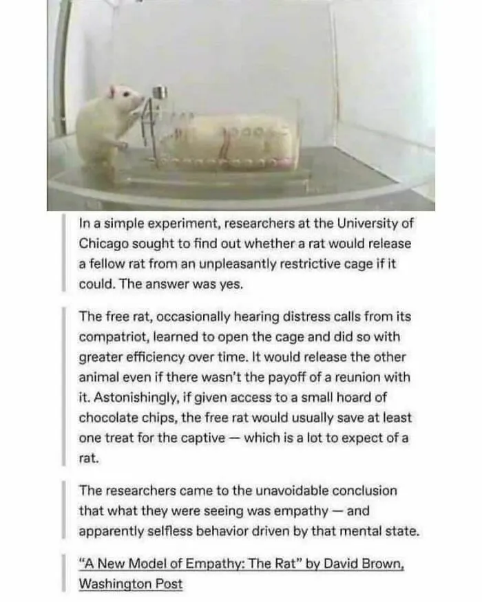 50 Spot-On Science Memes That Might Make You Feel Smarter