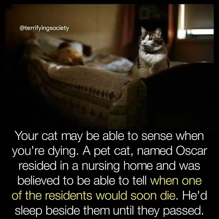 40 Creepy Facts Not For The Fainthearted, As Shared On The "Terrifying Society" Instagram Page