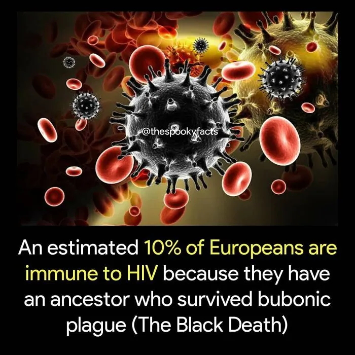 40 Creepy Facts Not For The Fainthearted, As Shared On The "Terrifying Society" Instagram Page