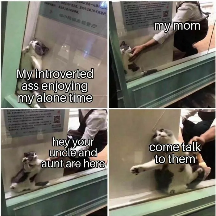 50 Memes That May Hit Too Close To Home For Any Introverts Out There, As Shared By This Instagram Account