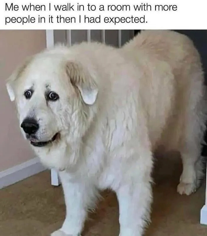 50 Memes That May Hit Too Close To Home For Any Introverts Out There, As Shared By This Instagram Account